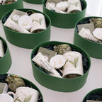 Verdant Lily Gift Set